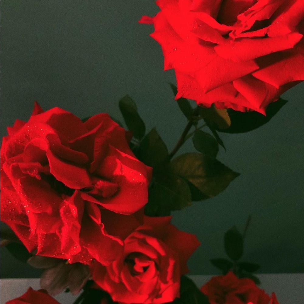 PRICE DROPS!🌹